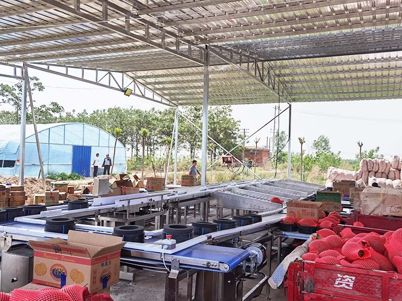 哈密瓜分選機、重量分選機、分級機、分揀機