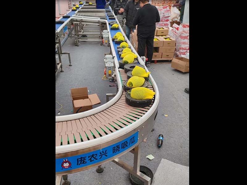 水果分選機(jī)（橙子、柑橘）