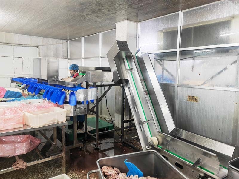 料盒分選機(jī)（白條雞鴨、雞瓜、雞脖、翅中、海參、海蠣子、牡蠣、小龍蝦）