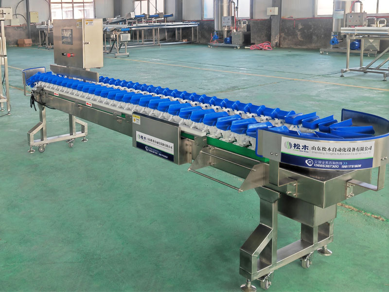 雞爪、雞翅（料盒式）重量分選機(jī)
