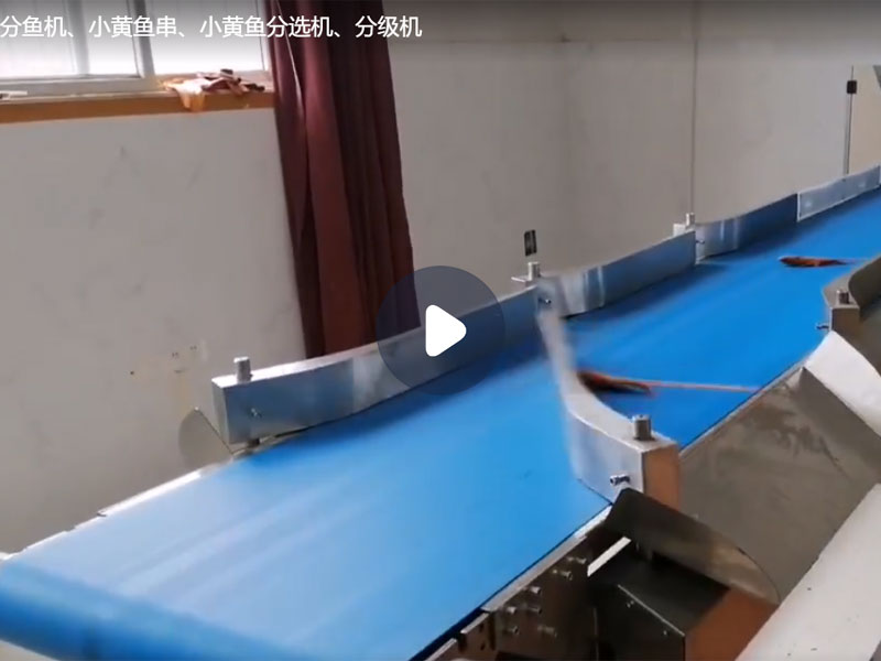 分魚(yú)機(jī)、小黃魚(yú)串、小黃魚(yú)分選機(jī)、分級(jí)機(jī)